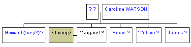 Mini tree diagram