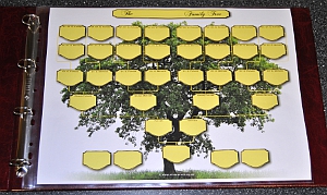 A3 Five Generation Ancestor Chart supplied in A3 Pockets (pack of 2)