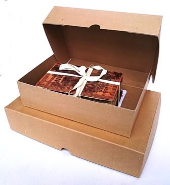 Clamshell Design Archive Storage Boxes