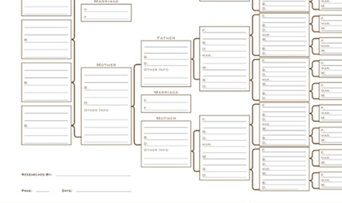 4 generation pedigree chart