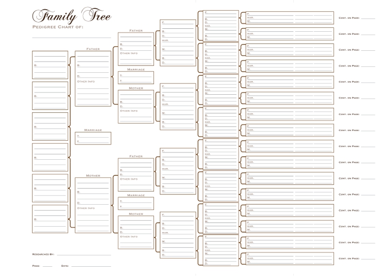 A3 Six Generation Pedigree Chart (pack of 3 Folded) 