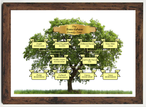 Framed Family Trees