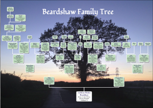 Family Tree Chart Design