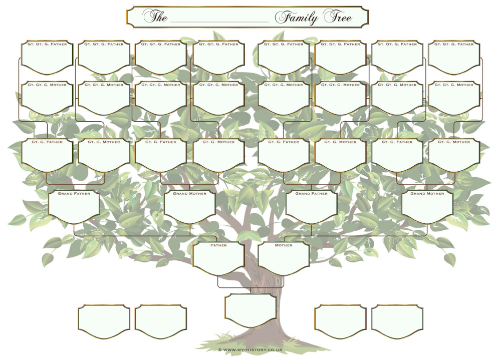 Family Chart - 5 Generations Pack of 2