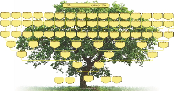 Family Reunion Family Tree Charts