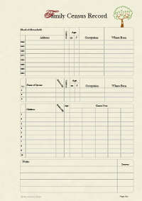 Census Record Page pack of 20 in 90gms Parchment