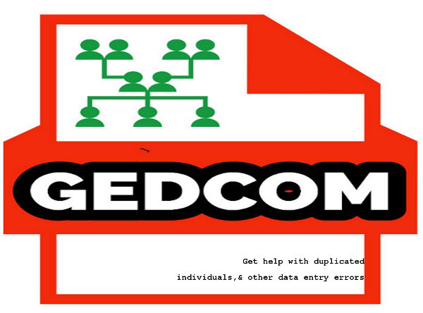 Gedcom File Checking & Chart Generator Amendment Service