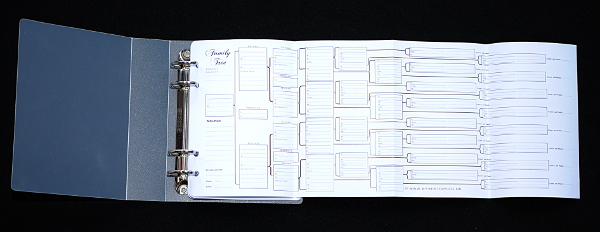 Journal Six Generation Pedigree Chart (pack of 3 Folded) - A6