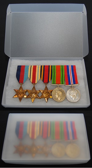 Archive Display Medal Box - Polyprop