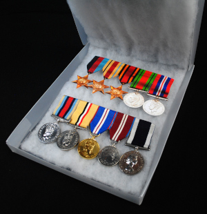 Archive Display Medal Box Double size - Polyprop