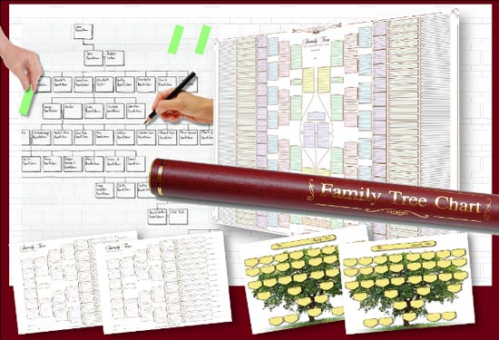 Family Tree Charts Pack 2 with deluxe tube