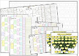 * Deal of the week *  Large Chart Pack