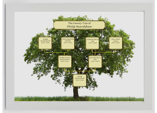 Three Generation Family Tree Ancestor Chart